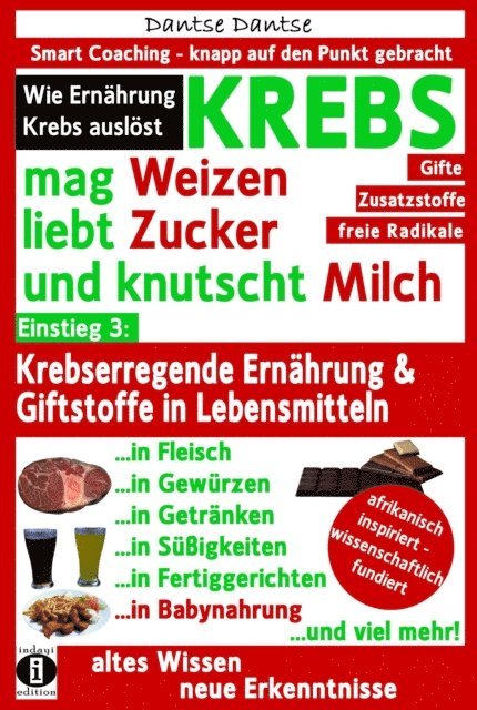 Dantse Dantse - KREBS mag Weizen, liebt Zucker und knutscht Milch: Wie Ernährung Krebs auslöst, E-bok