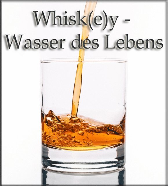 Thomas Meinen - Whisk(e)y - Wasser des Lebens, E-bok