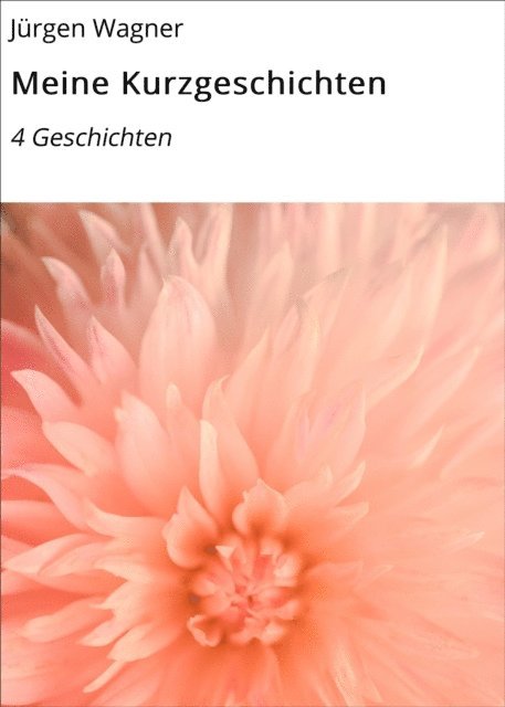 Jurgen Wagner - Meine Kurzgeschichten, E-bok
