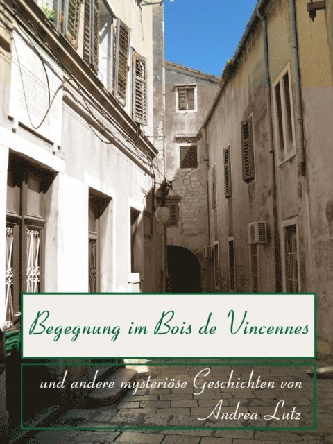 Andrea Lutz - Begegnung im Bois de Vincennes, E-bok