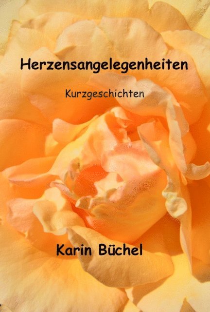 Karin Buchel - Herzensangelegenheiten, E-bok