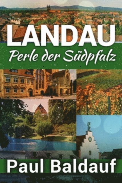 Paul Baldauf - LANDAU Perle der Südpfalz, E-bok