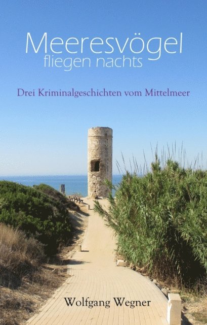 Wolfgang Wegner - Meeresvögel fliegen nachts, E-bok