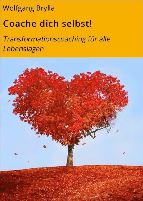 Wolfgang Brylla - Coache dich selbst!, E-bok