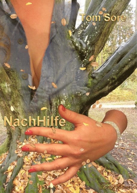 Tom Sore - NachHilfe, E-bok