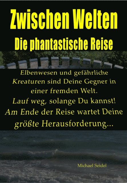 Michael Seidel - Zwischen Welten, E-bok