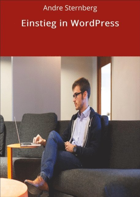 Andre Sternberg - Einstieg in WordPress, E-bok