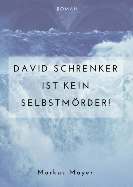 Markus Mayer - David Schrenker ist kein Selbstmörder!, E-bok