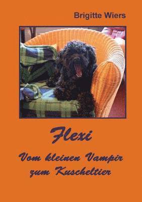 Brigitte Wiers - Flexi - Vom kleinen Vampir zum Kuscheltier, Häftad