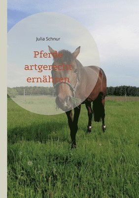 Julia Schnur - Pferde artgerecht ernähren, Häftad. Tillgänglighet: Lägg i varukorg