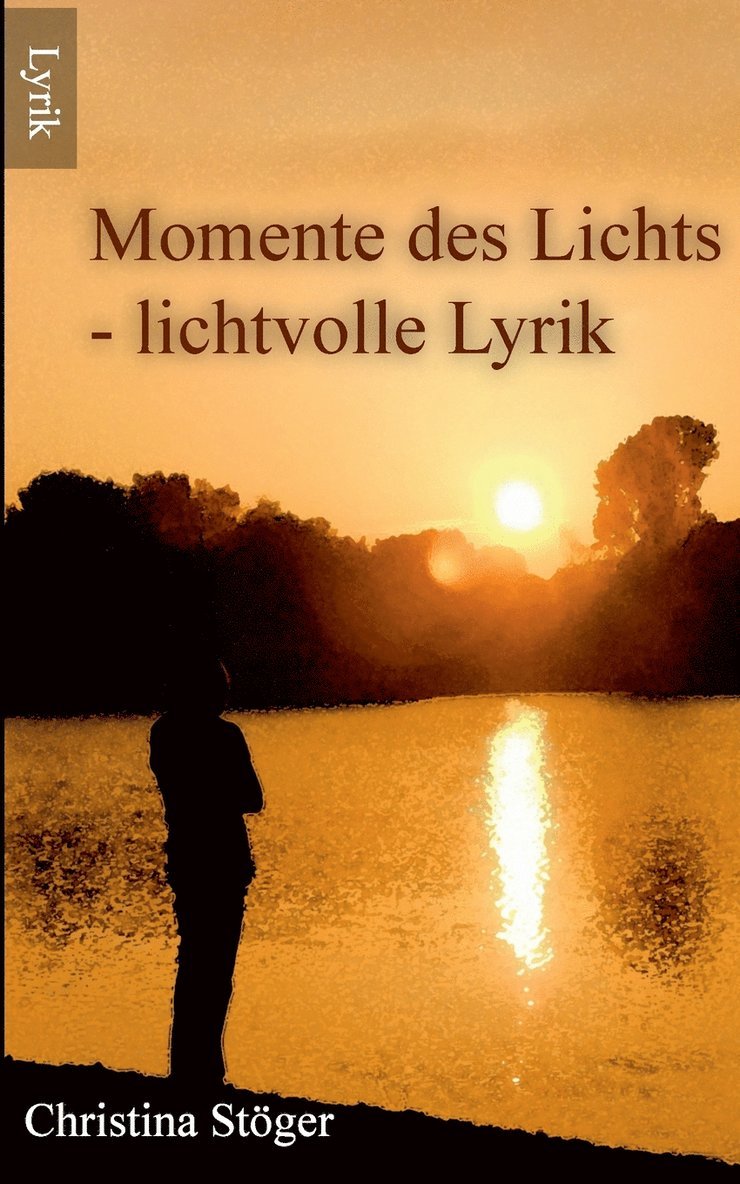 Christina Stöger - Momente des Lichts, Häftad