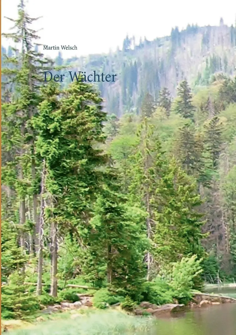 Martin Welsch - Wächter, Häftad. Tillgänglighet: Lägg i varukorg