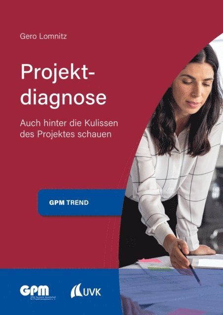 Gero Lomnitz - Projektdiagnose, E-bok