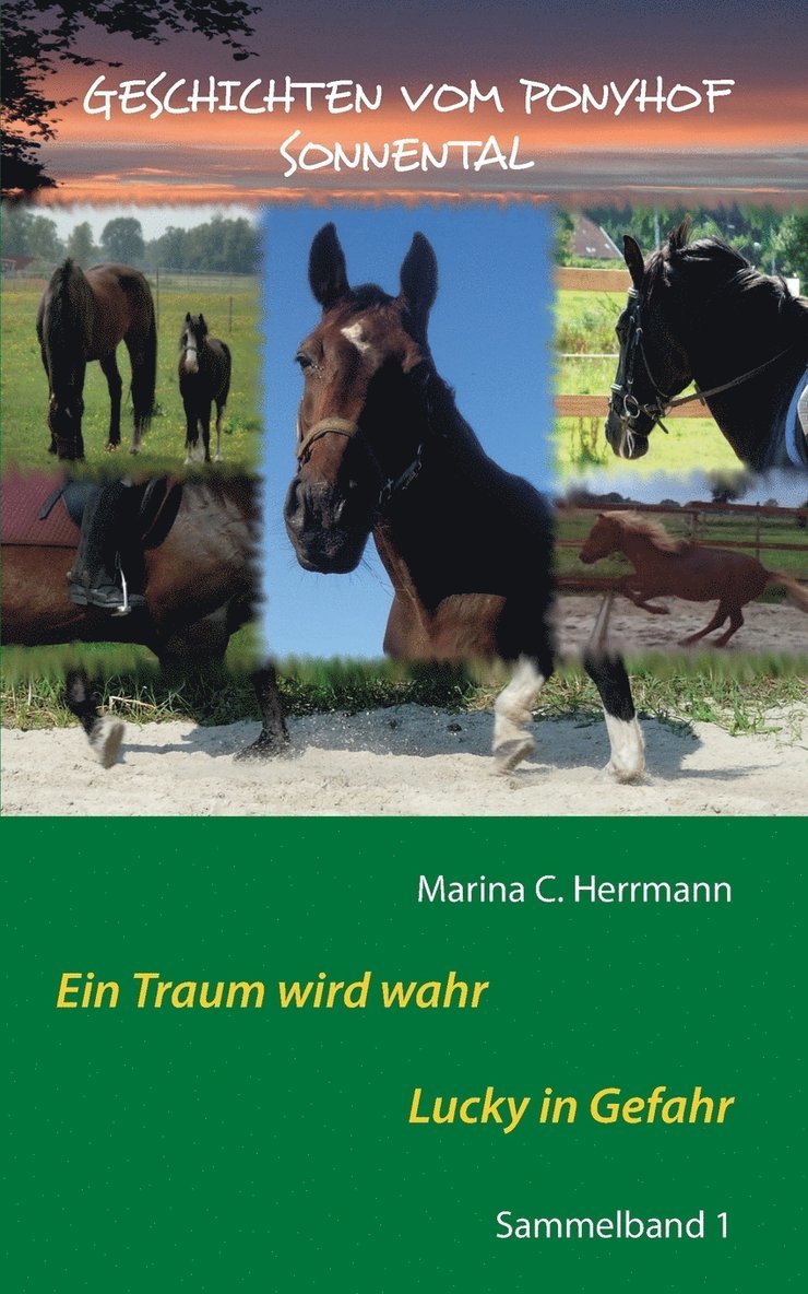 Marina C Herrmann - Geschichten vom Ponyhof Sonnental, Häftad