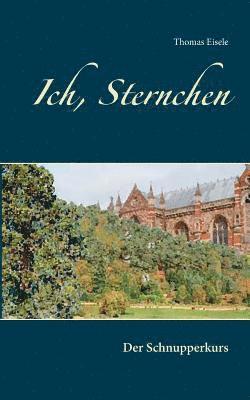 Thomas Eisele - Ich, Sternchen, Häftad