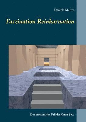 Daniela Mattes - Faszination Reinkarnation, Häftad