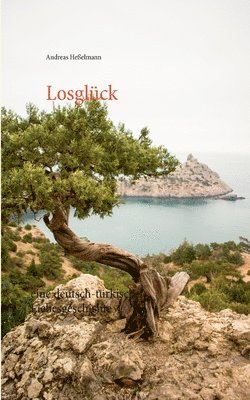 Andreas Heßelmann - Losglück, Häftad. Tillgänglighet: Lägg i varukorg
