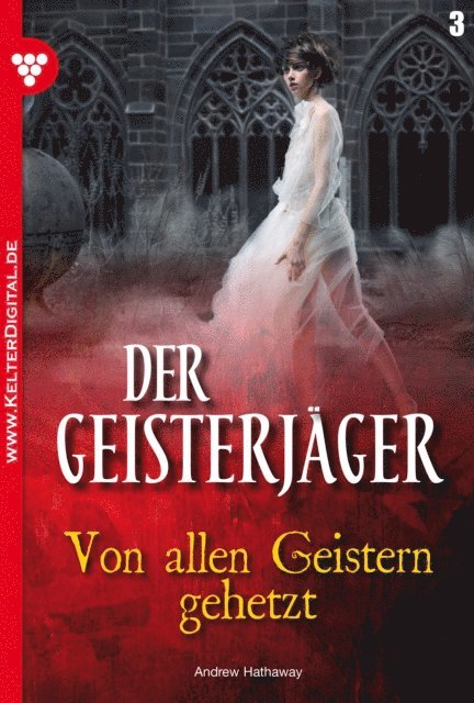 Andrew Hathaway - Der Geisterjäger 3 – Gruselroman, E-bok