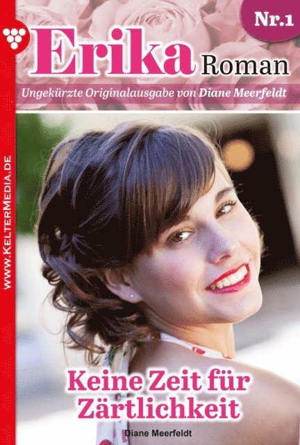 Diane Meerfeldt - Keine Zeit für Zärtlichkeit, E-bok