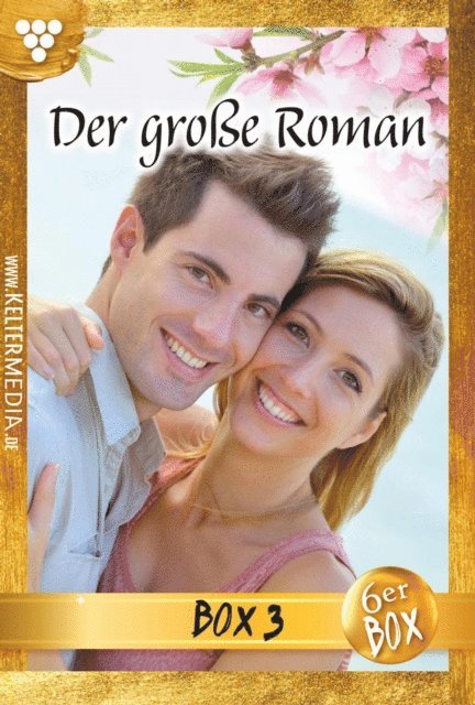 Liese-Lotte Altermann, Gerda Morris, Viki Brausewetter, Diane Meerfeldt, Bettina Clausen, Hilde Neuhaus - E-Book 13-18, E-bok