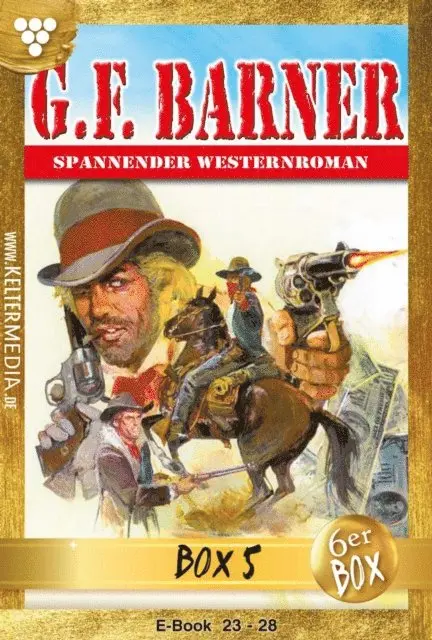 G.F. Barner - 6er Jubiläumsbox, E-bok. Tillgänglighet: Lägg i varukorg