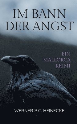 Werner R C Heinecke - Im Bann der Angst, Häftad. Tillgänglighet: Lägg i varukorg