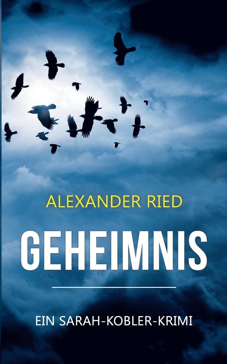 Alexander Ried - Geheimnis, Häftad