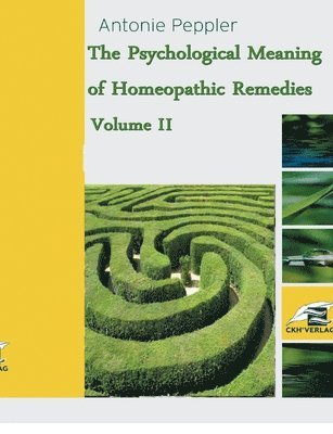 Antonie Peppler - Psychological Meaning of Homeopathic Remedies, Häftad