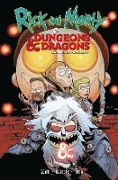 Jim Zub, Troy Littel - Rick and Morty vs. Dungeons & Dragons, Häftad. Tillgänglighet: Lägg i varukorg