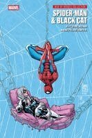Marv Wolfman, Keith Pollard, Joe Kelly, Mike Mckone, Roger Stern, Adriana Melo, John Romita Jr. - Spider-Man & Black Cat, Inbunden