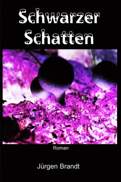 Jurgen Brandt - Schwarzer Schatten, E-bok