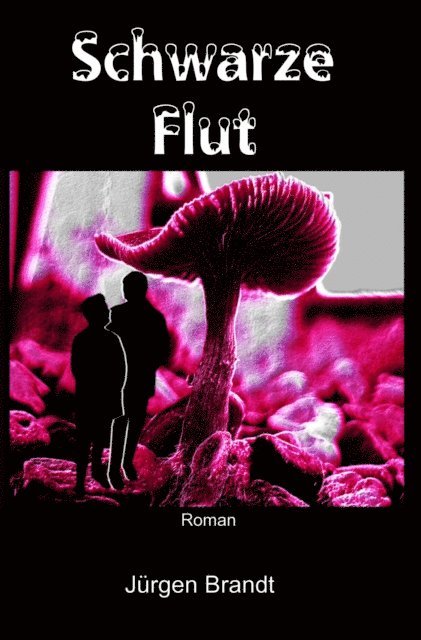 Jurgen Brandt - Schwarze Flut, E-bok
