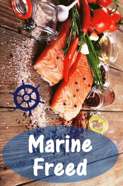 Bernhard Long - Marine Freed, E-bok