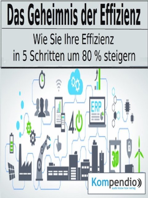 Alessandro Dallmann, Yannick Esters, Robert Sasse - Das Geheimnis der Effizienz, E-bok