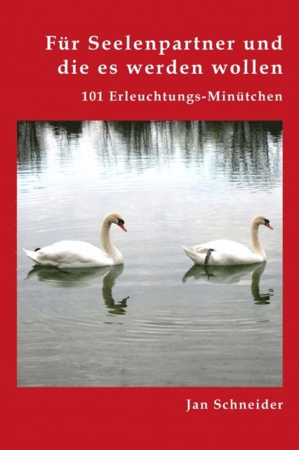 Jan Norman - Für Seelenpartner und die es werden wollen, E-bok