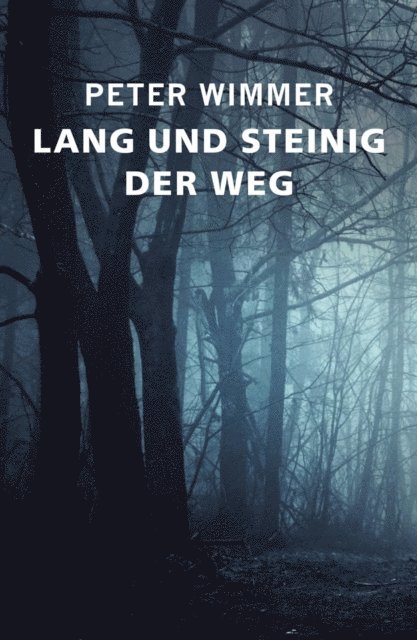 Peter Wimmer - LANG UND STEINIG DER WEG, E-bok