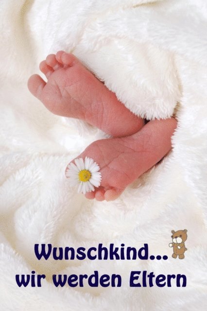 Jenny Meier - Wunschkind...wir werden Eltern, E-bok