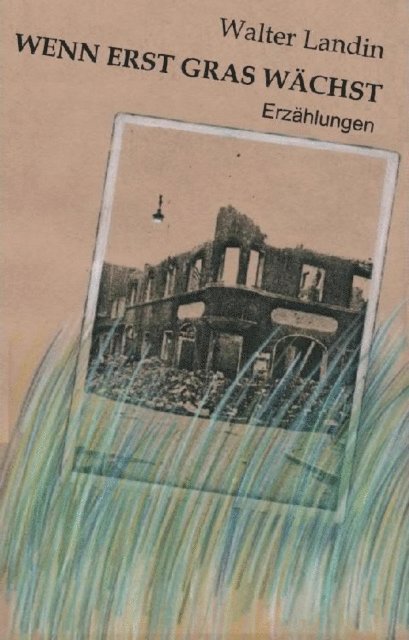 Walter Landin - Wenn erst Gras wächst, E-bok