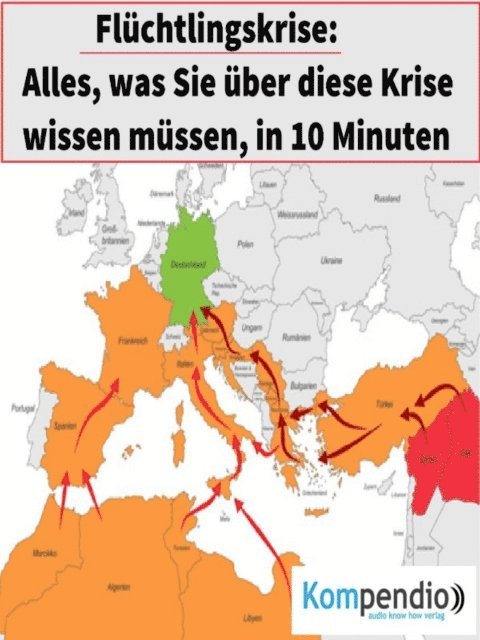 Alessandro Dallmann, Yannick Esters, Robert Sasse - Flüchtlingskrise, E-bok