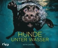 Seth Casteel - Hunde unter Wasser, Inbunden. Tillgänglighet: Lägg i varukorg