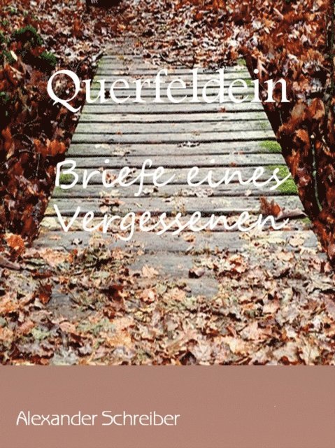Alexander Schreiber - Querfeldein, E-bok