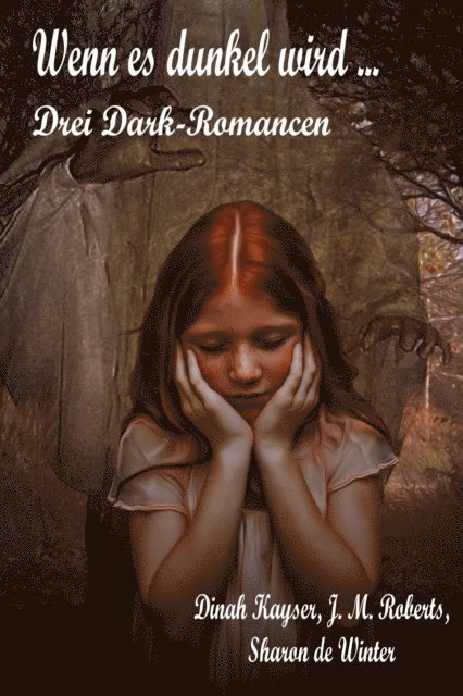 Sharon de Winter, J. M. Roberts, Dinah Kayser - Wenn es dunkel wird ..., E-bok