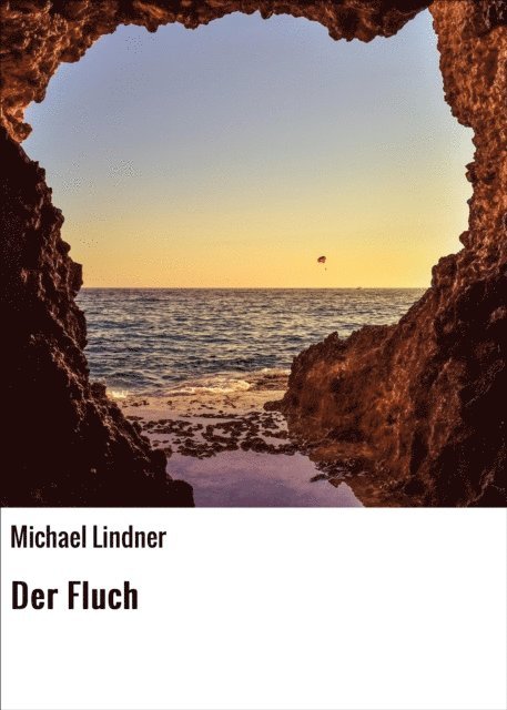 Michael Lindner - Der Fluch, E-bok