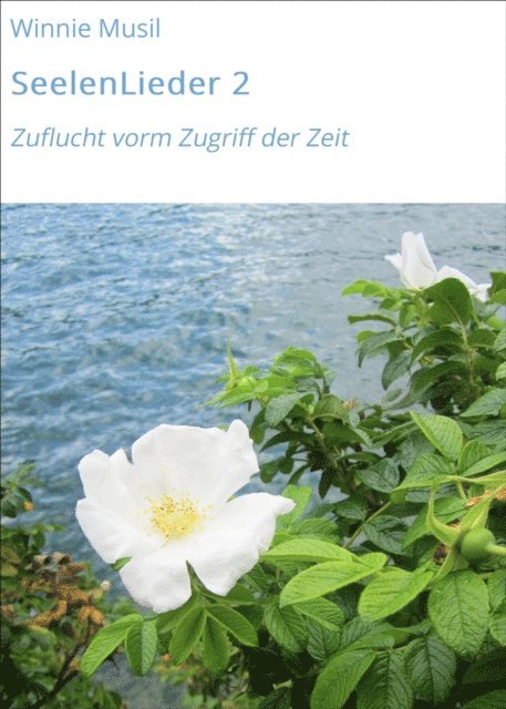 Winnie Musil - SeelenLieder 2, E-bok