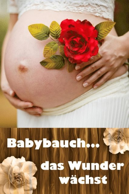 Laura Paulsen - Babybauch...das Wunder wächst, E-bok. Tillgänglighet: Lägg i varukorg