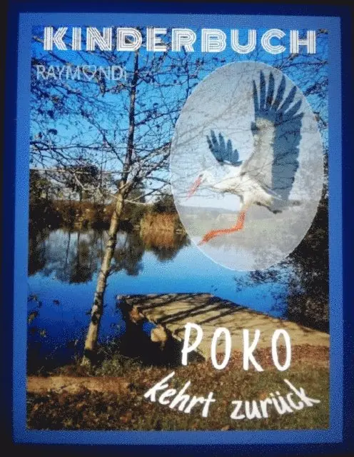 RAYMONDi - POKO, E-bok. Tillgänglighet: Lägg i varukorg