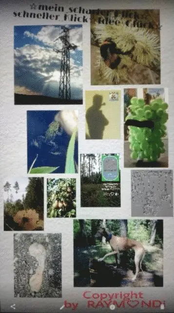RAYMONDi - mein _scharfer_BLICK☆ein_schneller-KLICK☆IDEE+GLÜCK, E-bok. Tillgänglighet: Lägg i varukorg