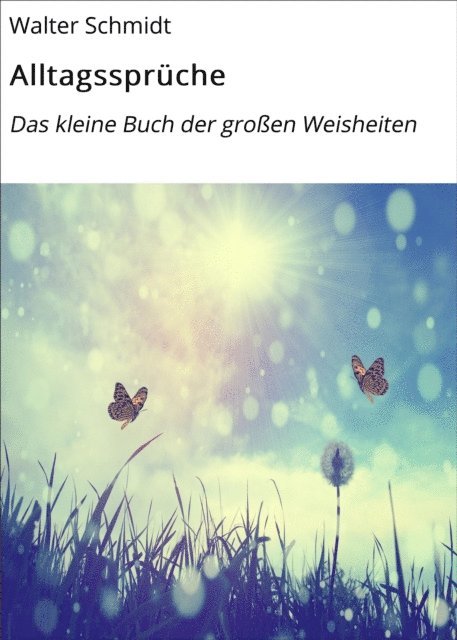 Walter Schmidt - Alltagssprüche, E-bok
