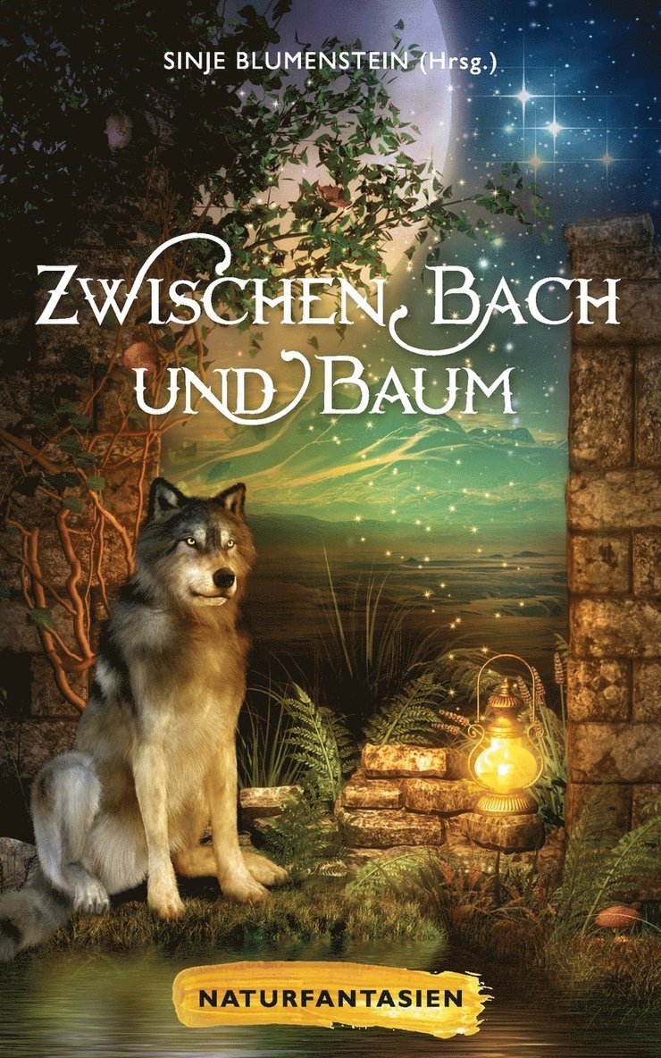 Ursula Dittmer, LIV Modes, Sinje Blumenstein - Zwischen Bach und Baum, Häftad