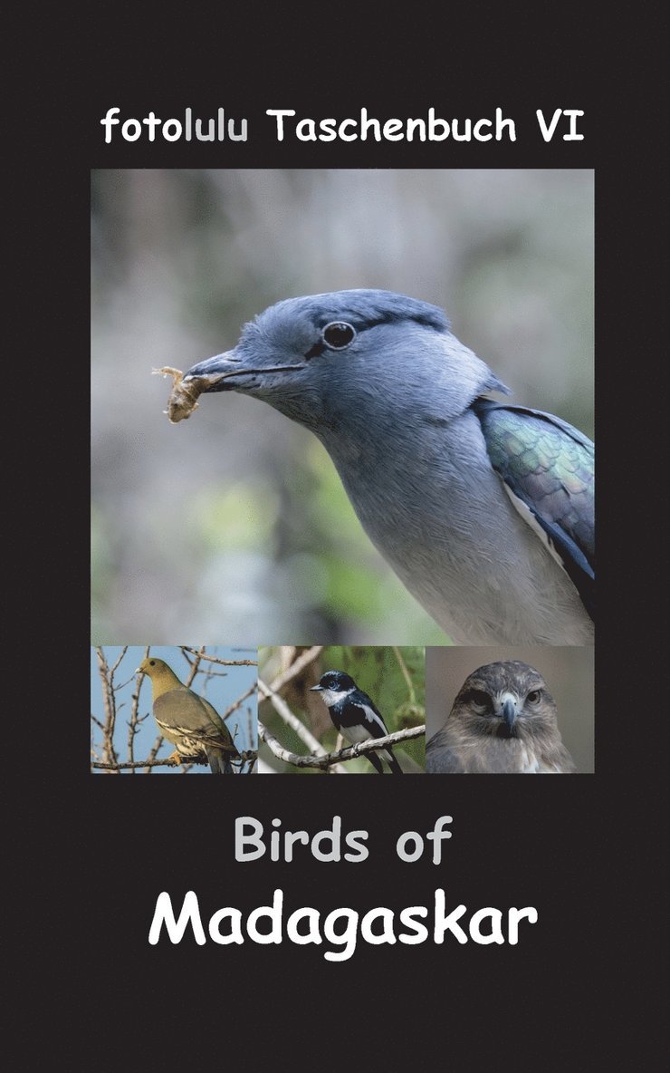 Fotolulu - Birds of Madagaskar, Häftad. Tillgänglighet: Lägg i varukorg
